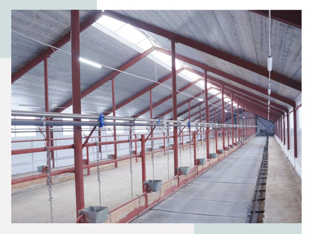 Строительство коровников в Белове от 652 руб.