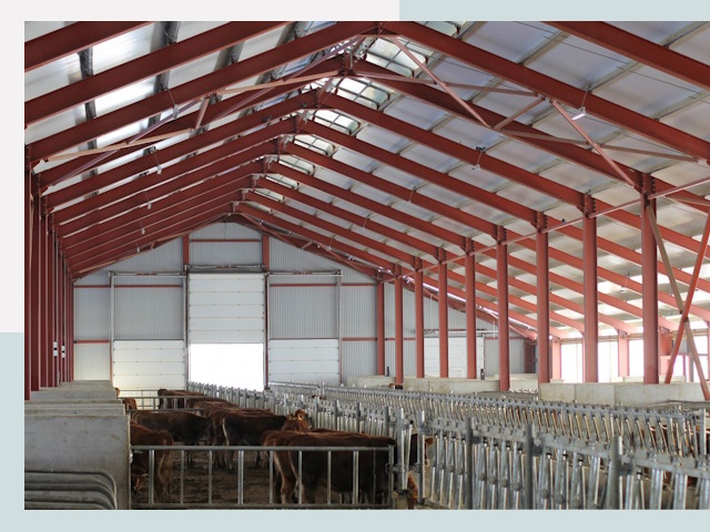 Строительство коровников в Белове